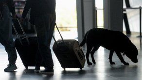 Hombre robaba el equipaje de otros pasajeros escondido en una maleta