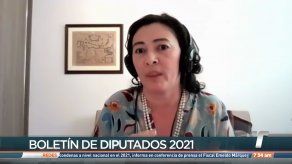 Leah de Boersner brinda detalles sobre el boletín de diputados elaborado por Espacio Cívico