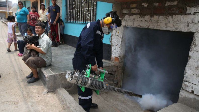 Preguntas y respuestas del virus del zika en América Latina