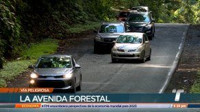 Se registran de 3 a 5 accidentes semanales en la vía Forestal