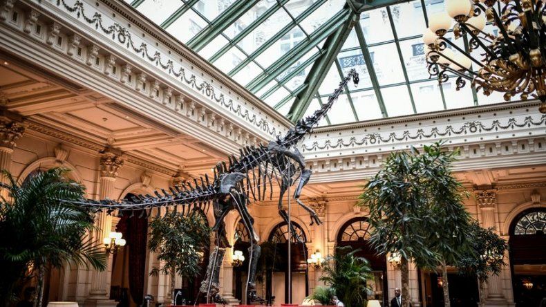 Pariente del diplodocus se exhibe en gran hotel parisino antes de su venta