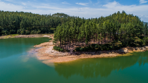 MiAmbiente ordenó el cierre de áreas protegidas. MiAmbiente ordenó el cierre de áreas protegidas.