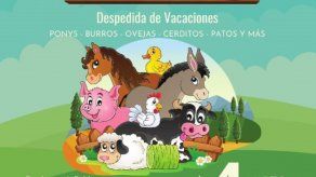 Día de la Graja en el Parque Andrés Bello