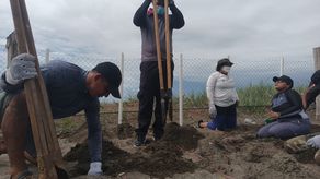 Los trabajos de reforzamiento de las estructuras o cercas y limpieza del vivero, que tomó dos días, se contó con el apoyo de más de 50 personas Los trabajos de reforzamiento de las estructuras o cercas y limpieza del vivero, que tomó dos días, se contó con el apoyo de más de 50 personas