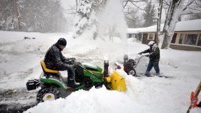 Buffalo sepultada bajo casi dos metros de nieve