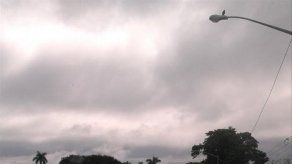 Tráfico pesado en la Ave. Omar Torrijos por poda de árboles en la vía