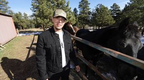 Los votantes en Colorado aprobaron una propuesta para despenalizar el uso de hongos alucinógenos.