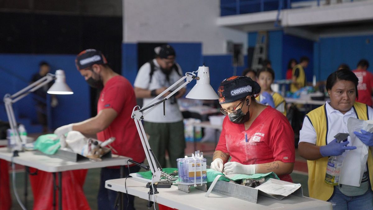 Programa Misión Patitas del Despacho de la Primera Dama Programa Misión Patitas del Despacho de la Primera Dama