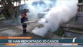 Panamá Oeste reporta 20 casos de dengue