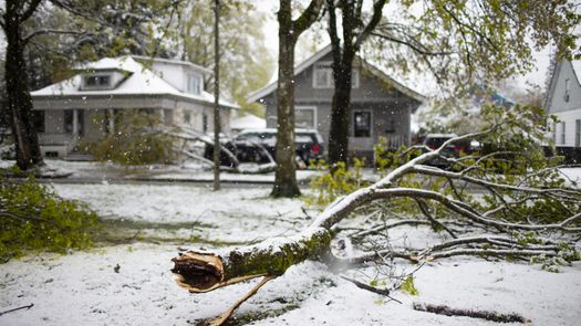Las tormentas causaron daños generalizados el martes en Salado, a unos 80 kilómetros (50 millas) al norte de Austin.