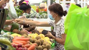 El aumento de los insumos necesarios para la producción agropecuaria provocaría la inflación en el precio de los alimentos en Panamá.