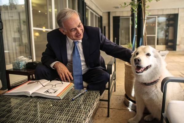 La perra de Netanyahu mordió a dos miembros del partido Likud