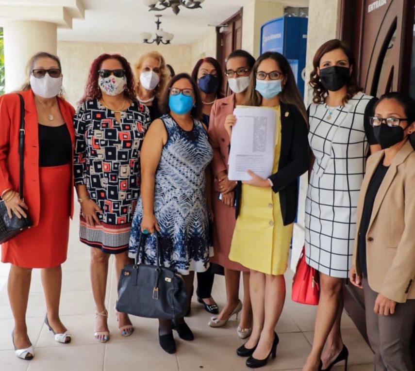 La demanda fue presentada ante la Corte Suprema de Justicia (CSJ) por la diputada Zulay Rodríguez