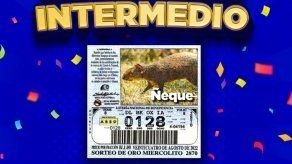 Lotería de Panamá: Horario y cómo ver el sorteo del 24 de agosto de 2022