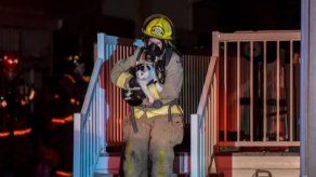 Gato salva a su familia de un incendio