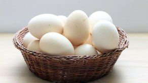 Rusia prohíbe la importación de aves y huevos incubados de EEUU