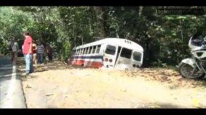 Varios heridos y cuatro perros muertos en accidente