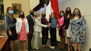 El proyecto de ley N°333 busca proteger a los menores de edad que hayan quedado huérfanos.