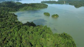 Cuenca del Canal de Panamá Almacena 141 millones de toneladas de carbono