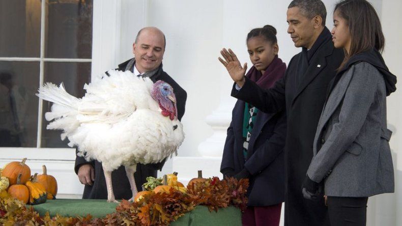 Obama indultó a un pavo por Acción de Gracias