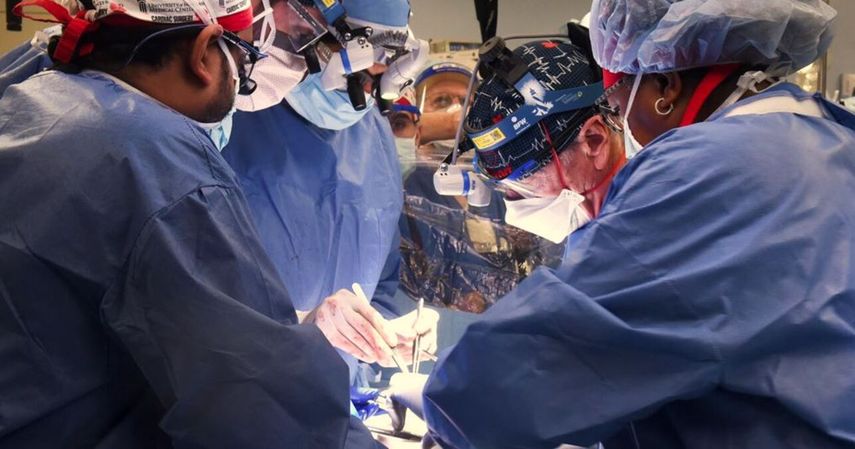 La operación se llevó a cabo el viernes y demostró por primera vez que el corazón de un animal puede seguir latiendo en un ser humano sin un rechazo.