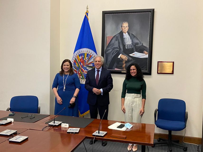 Comisión Interamericana de Mujeres (CIM)﻿.