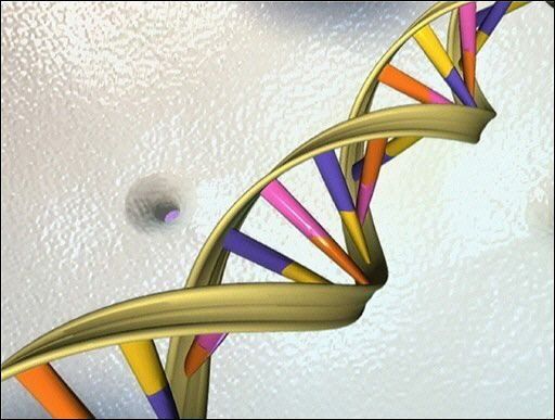 Estructura del ADN, clave para la identificar víctimas