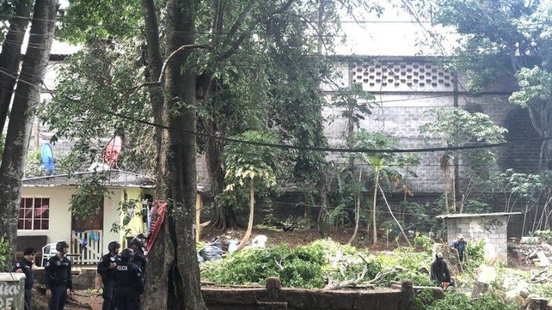Banfield: Tala de árboles en Brooklincito es ilegal, Miviot responde