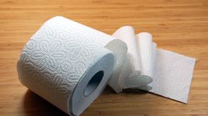 Aduanas. Papel higiénico