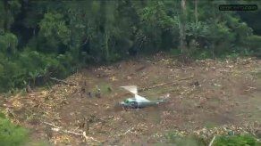 Autoridades panameñas destruyen plantación de coca en Darién