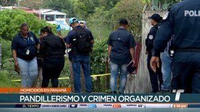 Cinco homicidios en 24 horas