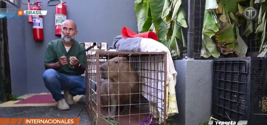 Indignación en Brasil