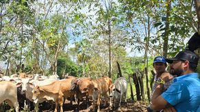 MIDA capacita a productores darienitas MIDA capacita a productores darienitas