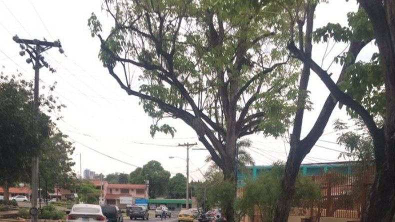 Reanudan trabajos de proyecto de mejoras al acueducto y alcantarillado en Betania