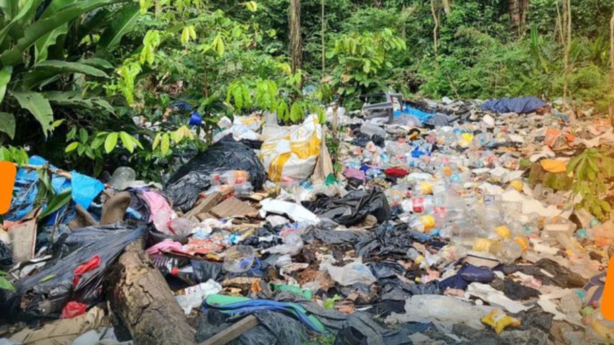 Estados Unidos aportará $3 millones para limpiar la selva de Darién. Estados Unidos aportará $3 millones para limpiar la selva de Darién.