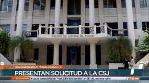 Representantes del Grupo Unidos por la Democracia presentaron solicitud en la CSJ