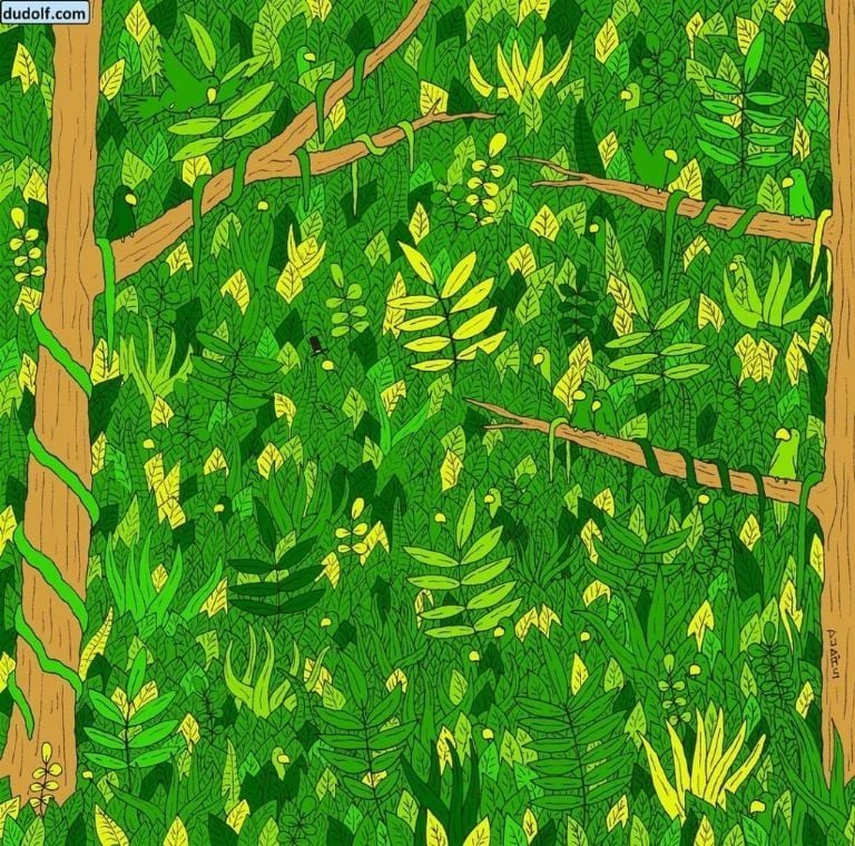 Resuelve este acertijo visual en 8 segundos. Resuelve este acertijo visual en 8 segundos.