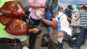 Operativo sanitario del Minsa.