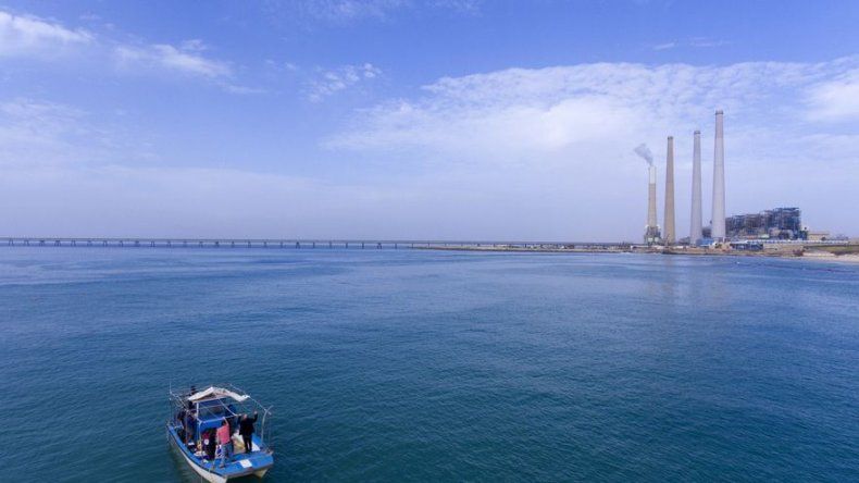 Aguas junto a planta eléctrica atraen tiburones y turistas