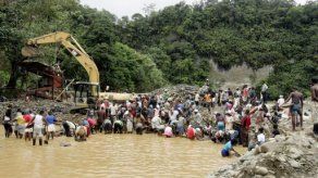 Bacterias de yuca ayudan a eliminar cianuro de ríos contaminados