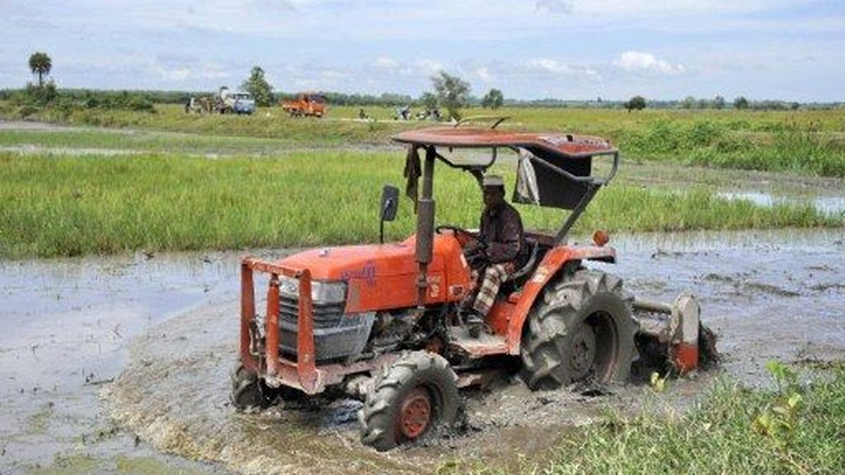 América Latina obligada a cambiar modelo actual de producción agrícola  (IICA)