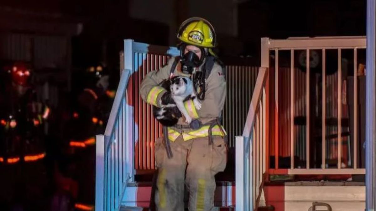 los-padres-y-sus-dos-hijos-pequenos-se-encontraban-durmiendo-al-momento-que-se-produjo-el-fuego-pero-gracias-su-gato-pudieron-salir-la-casa-fotocortesia-edmontonjournalwilliam-vavrek.jpg