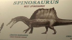 El Museo de Historia Natural de Berlín rastrea el ecosistema del Spinosaurus