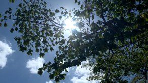 Emiten aviso por alta sensación térmica y temperaturas elevadas