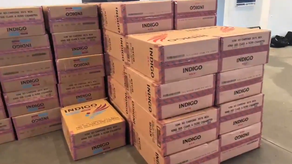 Autoridades decomisan cargamento de cigarrillos sin documentación en la Zona Libre de Colón.