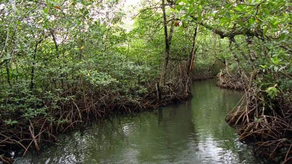 Autoridades ambientales Autoridades ambientales