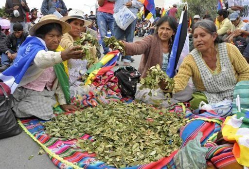 Indígenas mascan coca y celebran que la ONU ya no la prohíba en Bolivia