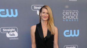 Laura Dern niega estar viviendo un romance con Bradley Cooper