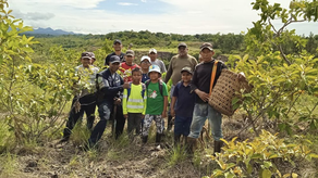 MiAmbiente MiAmbiente