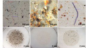 Los microplásticos se están acumulando en el hielo del Ártico
